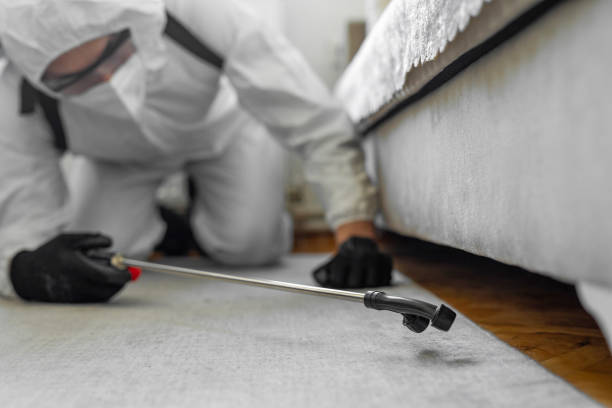 Professional Bed Bug Control technician working in Hampstead, NC