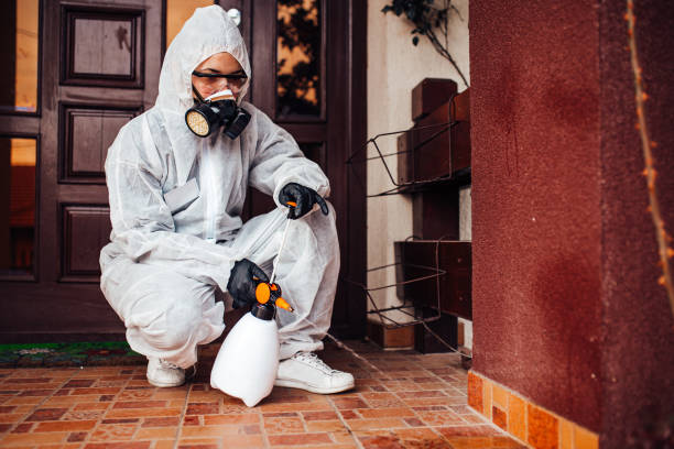 Reliable Bed Bug Control contractor in Hampstead, NC by Nex Pest Control